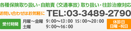 各種保険取り扱い・自賠責（交通事故） 取り扱い・往診治療対応　TEL：03-3489-2790